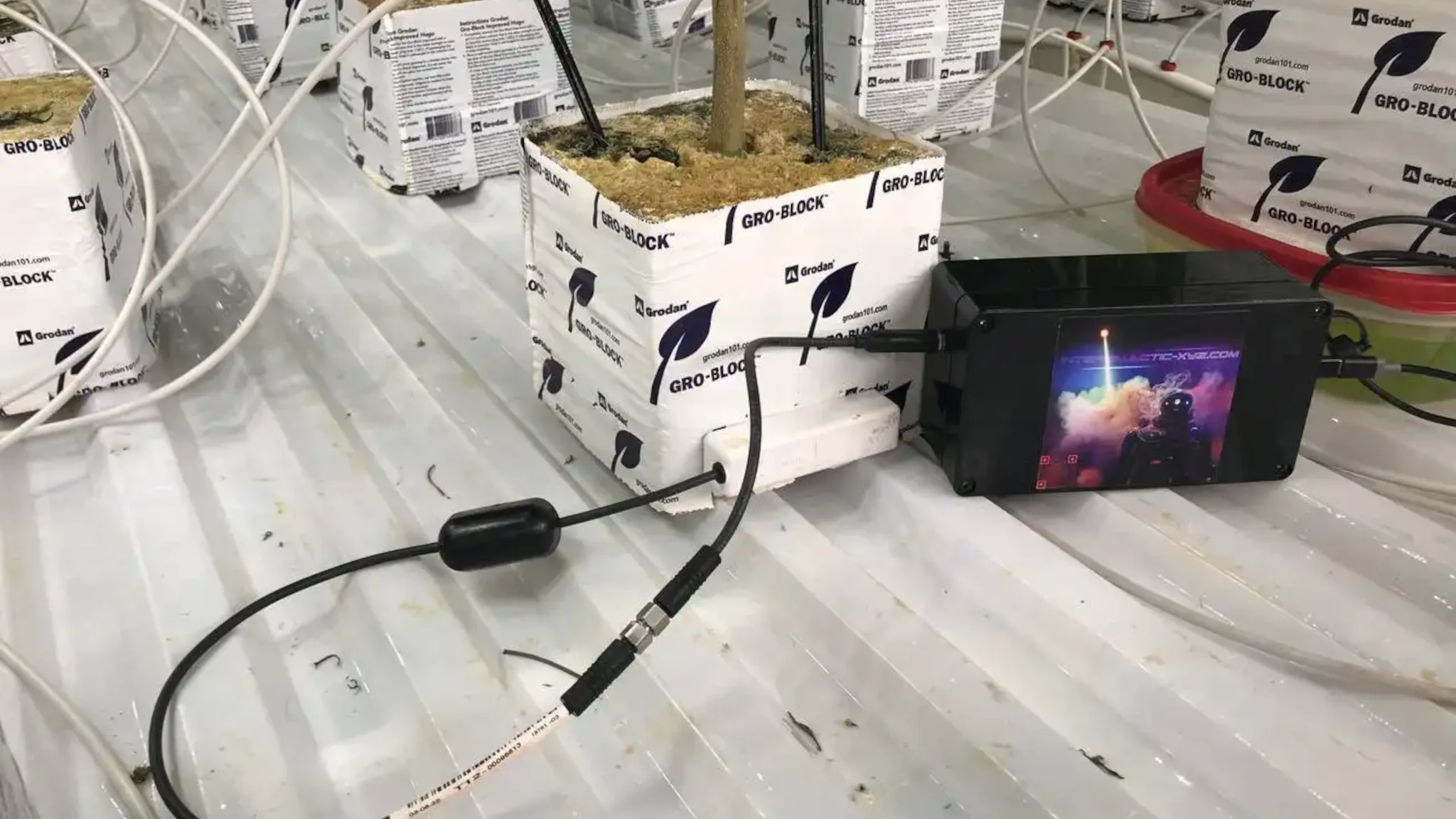 Observer device in grow environment